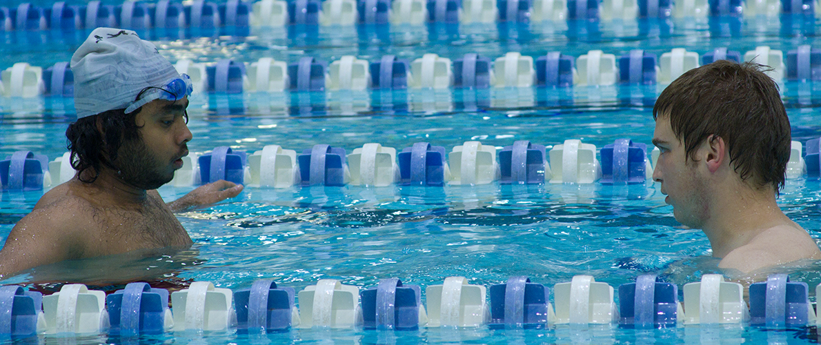 adults swimming