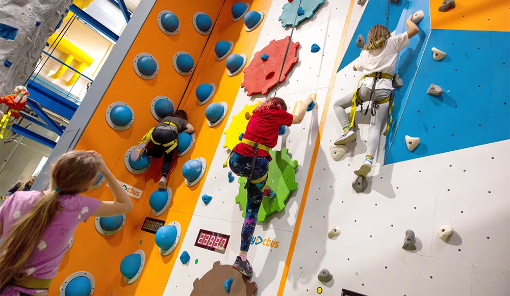 Climbing Wall